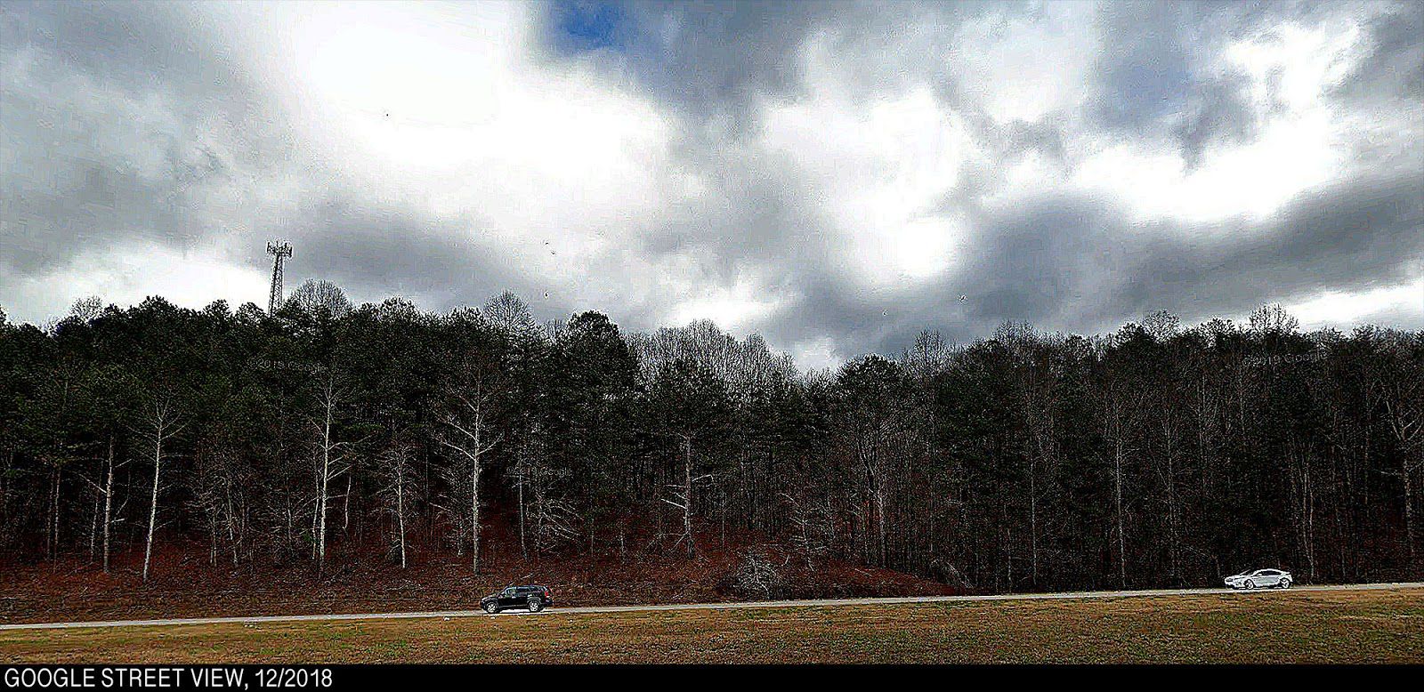 View of the tree line from the interstate.